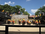 Elephant Show03